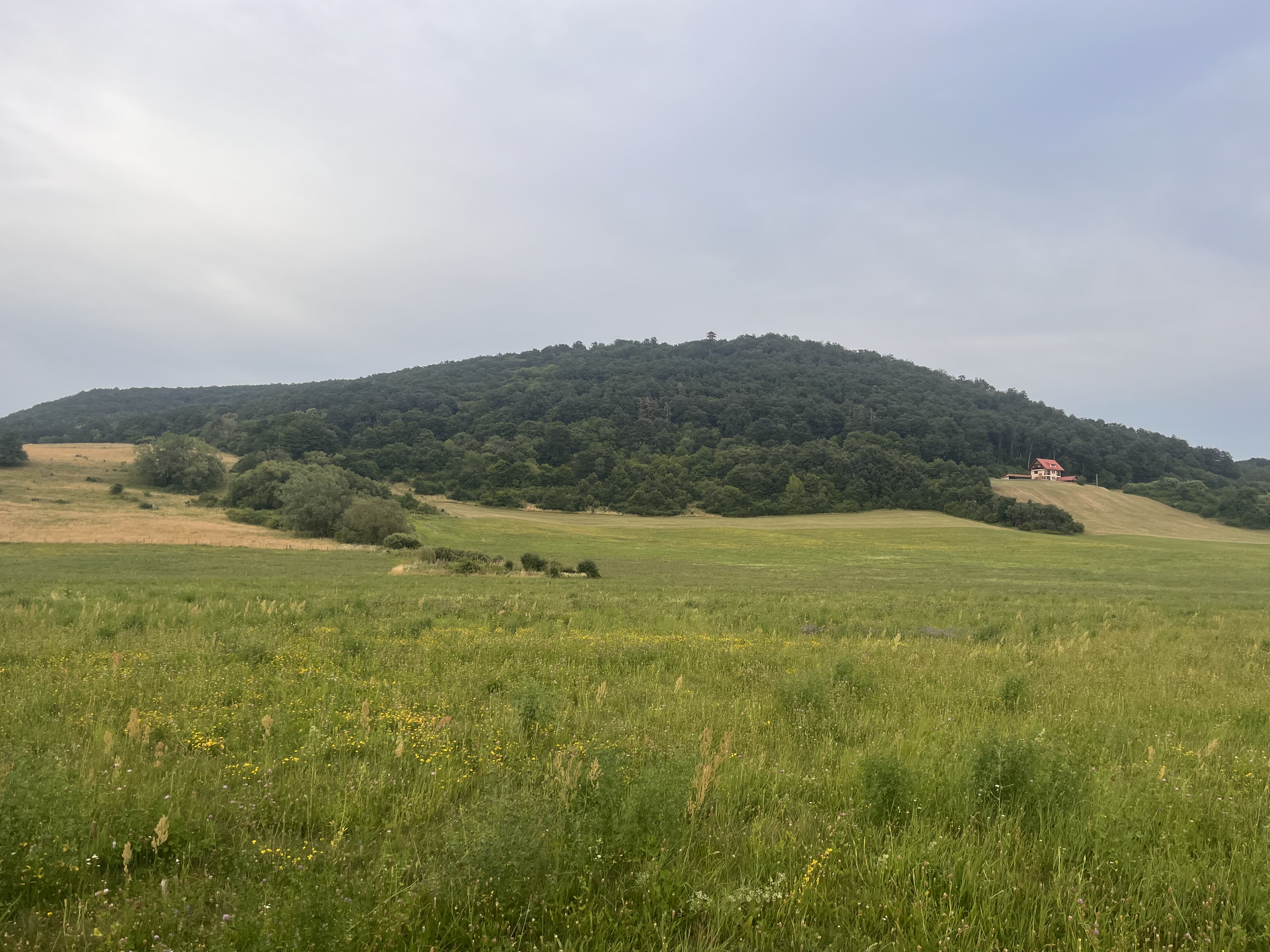 pristávačka